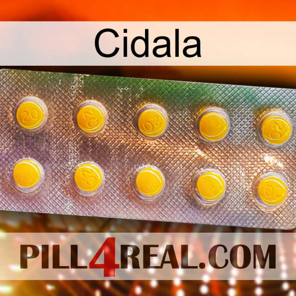 Cidala new11.jpg